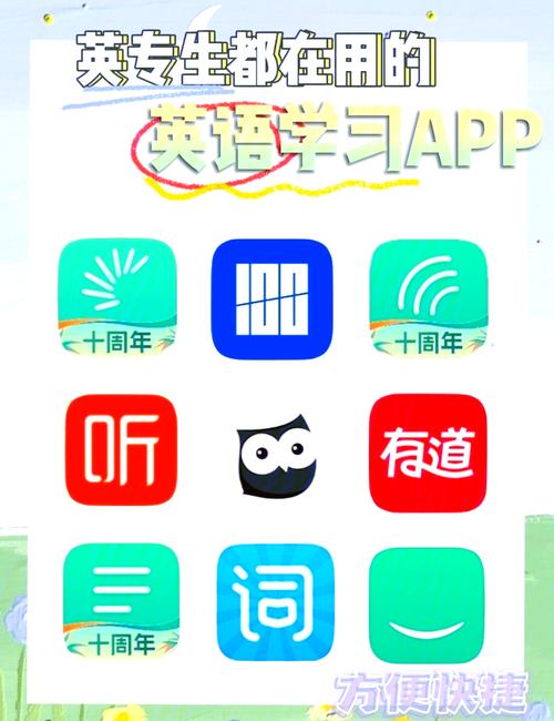 初步学英语什么软件国际版