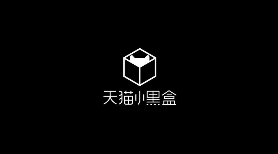 小黑盒版本大全