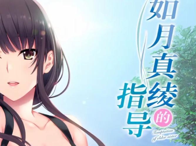 如月真绫的指导krkr完整版