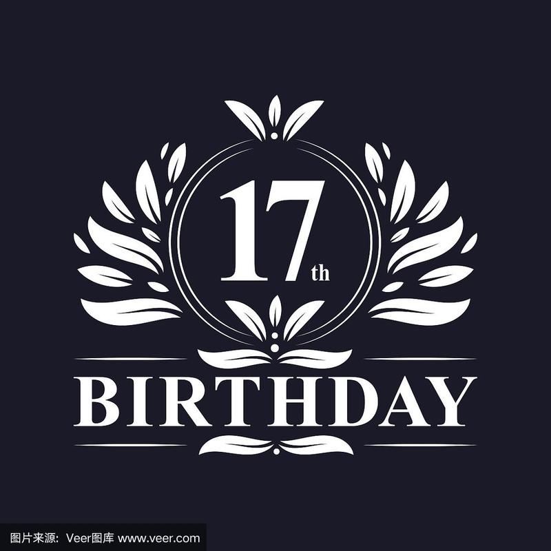 17岁免费版破解