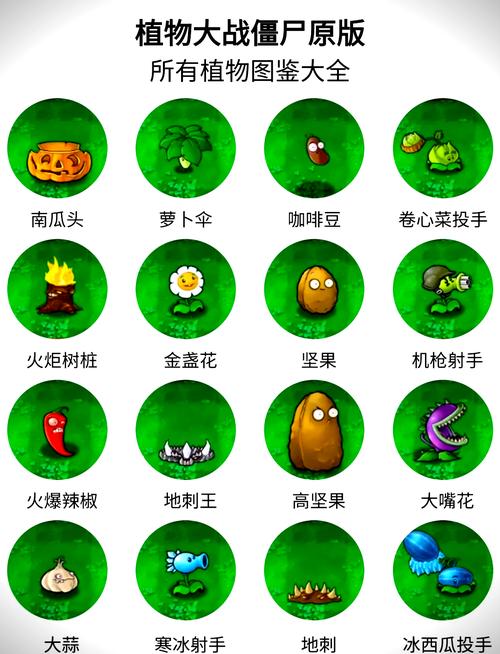 植物大战僵尸黄油安装破解版