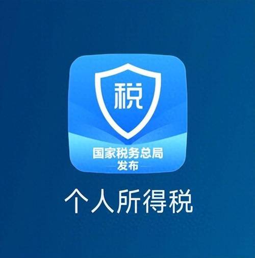 手机税务app