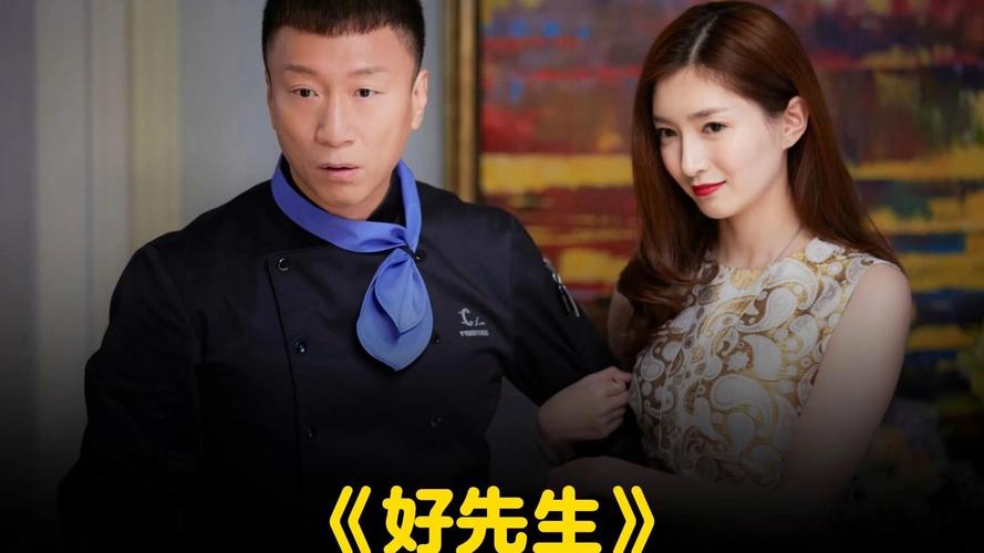 好先生免费观看高清版电视剧