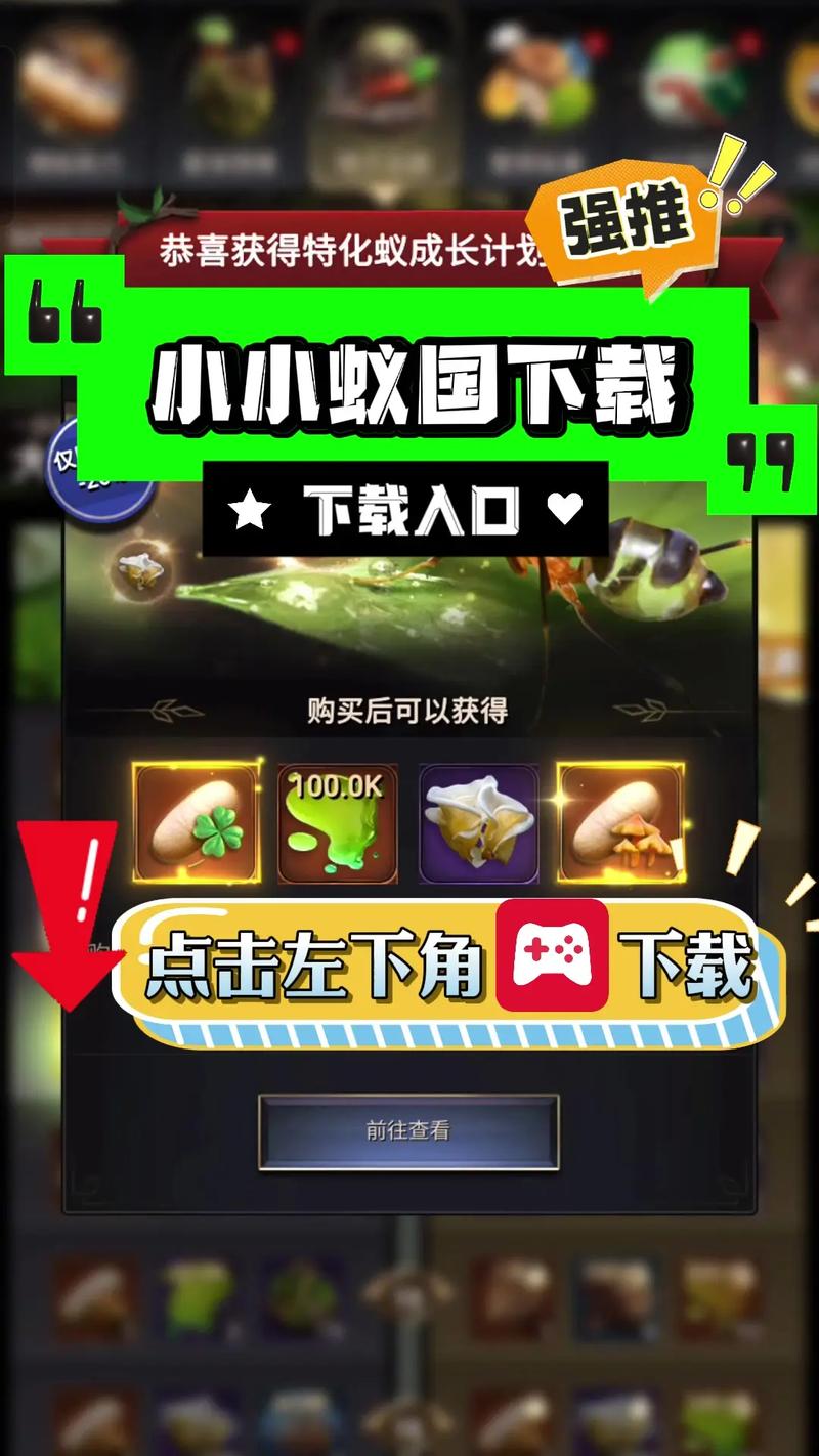 小小蚁国辅助器正版