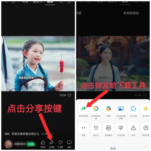 雏鸟短视频圆你萝莉免费观看缩略图
