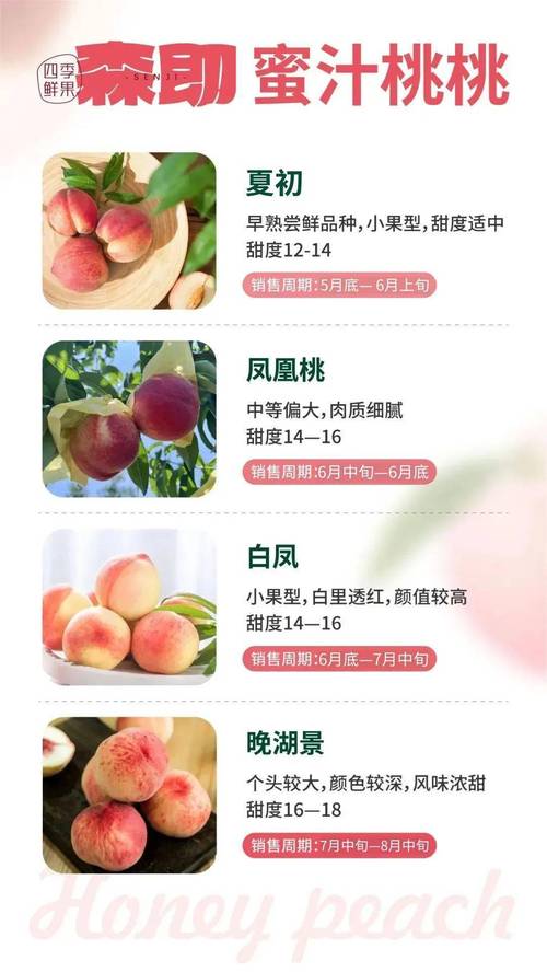 触摸游戏桃子移植兑换码