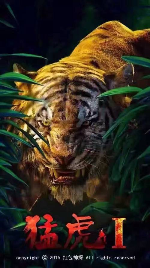 神探猛虎1.0正版授权