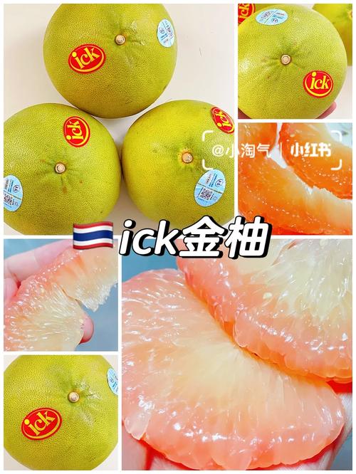 金柚转官方版