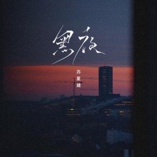 黑夜小说官网版