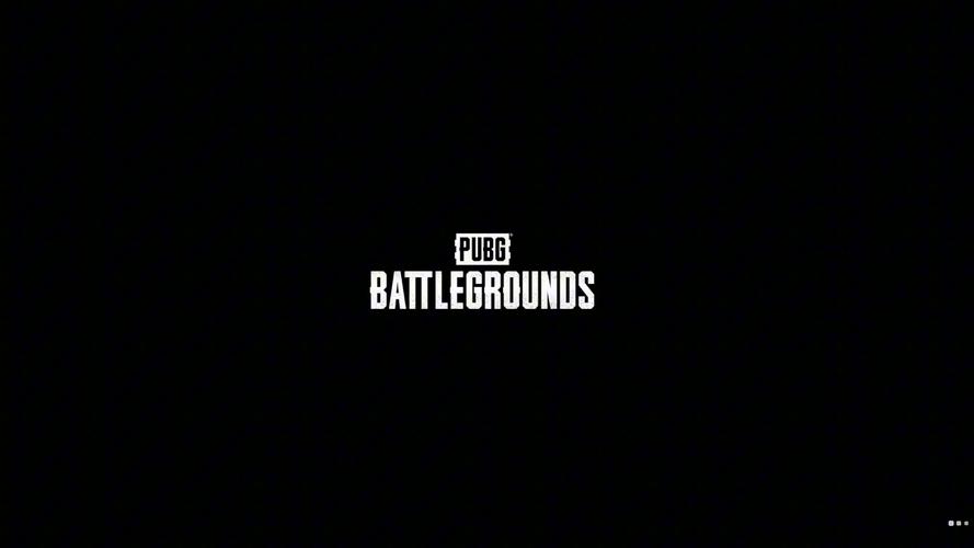 pubg体验服自带外挂