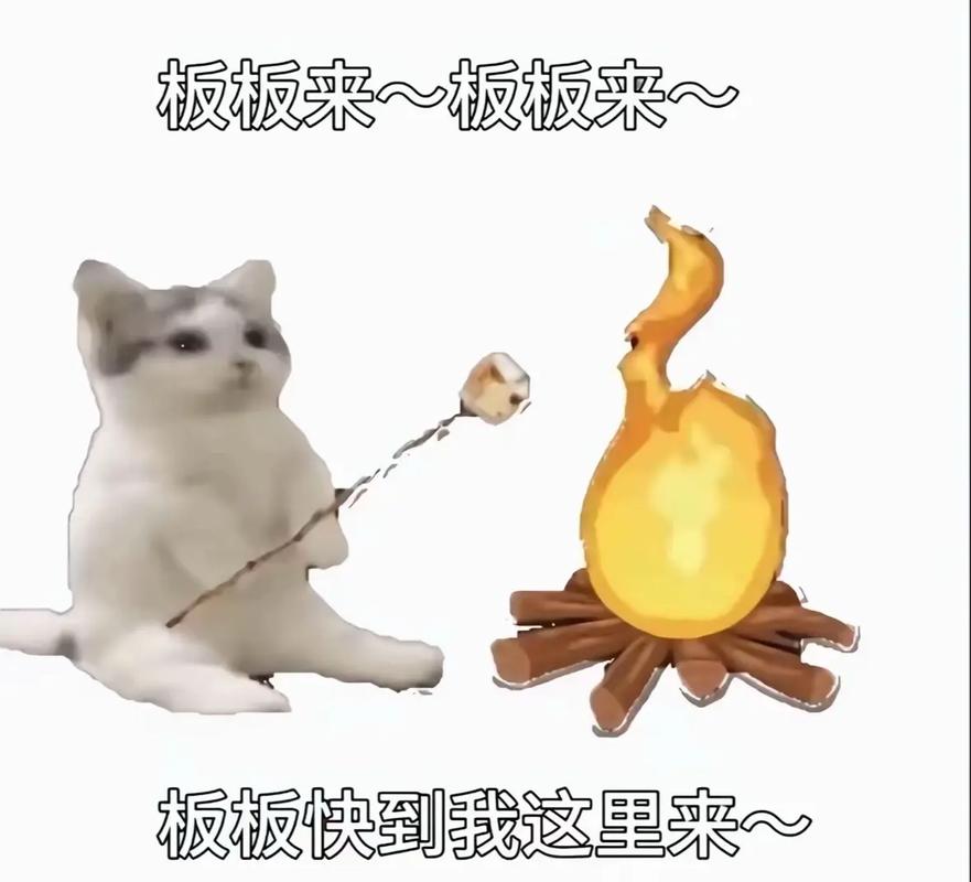小懒猫光遇自动跑图ios