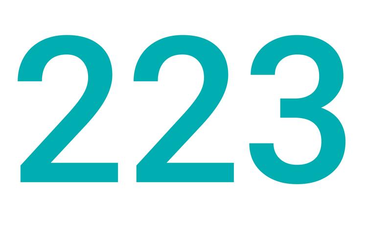 223安装正版