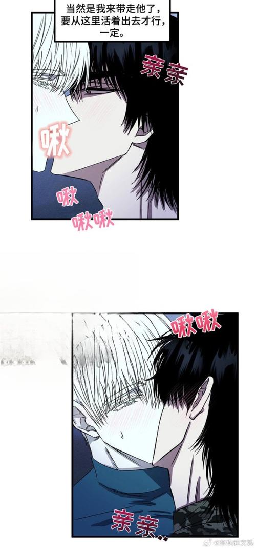 腐次元2016旧版安装包