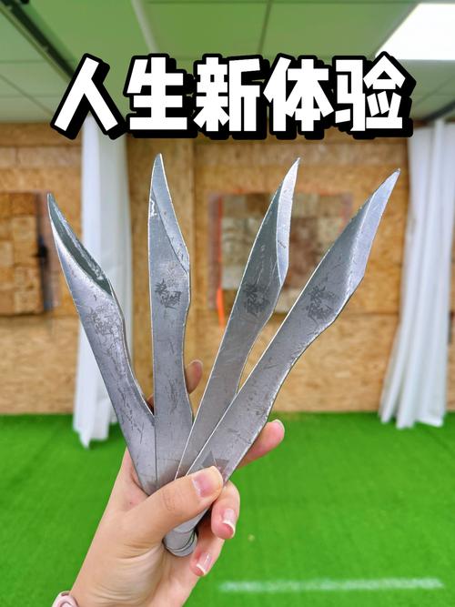 我爱玩飞刀