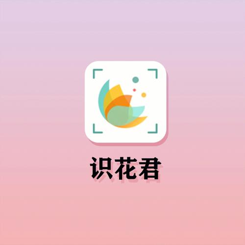 花树交友改名叫什么了