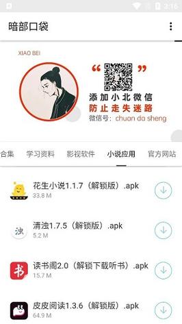 暗部口袋官方正版入口在哪黄化版