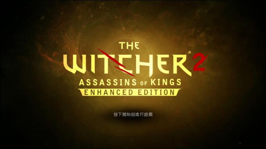 巫师2国王刺客修改器图标
