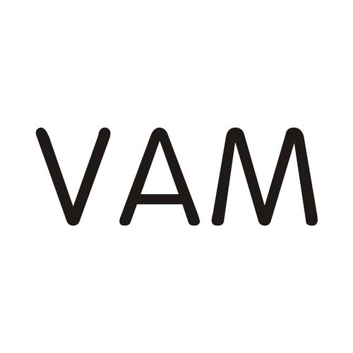 vam游戏官方网站入口提米版
