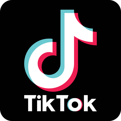 tiktok色板版本破解版永久VIP缩略图
