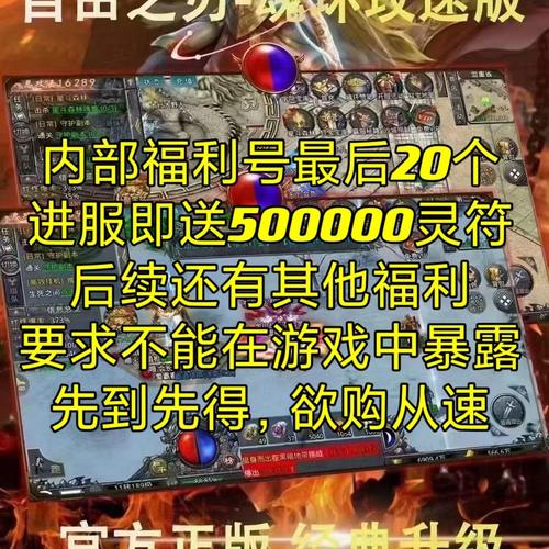 自由之刃内部号申请
