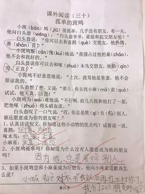 孤独的小斑鸠的阅读题及答案