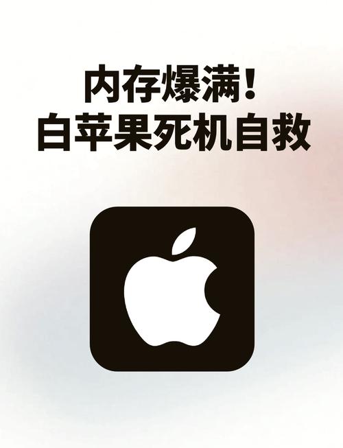 苹果手机内存满了自动关机怎么办