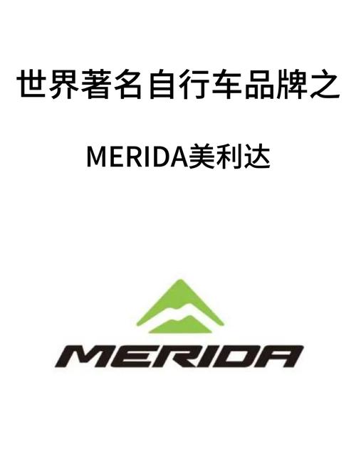 美利达锂电助力自行车