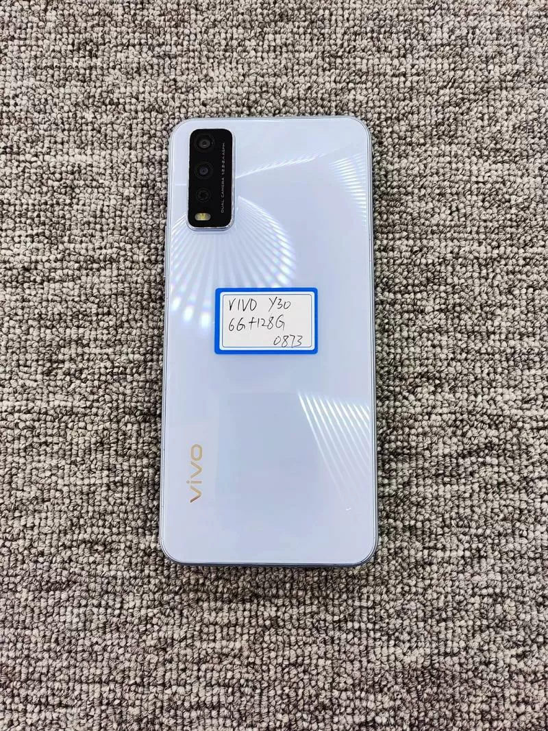 vivoy30活力版和标准版有什么区别