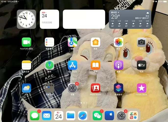 ipad撤销键入什么意思