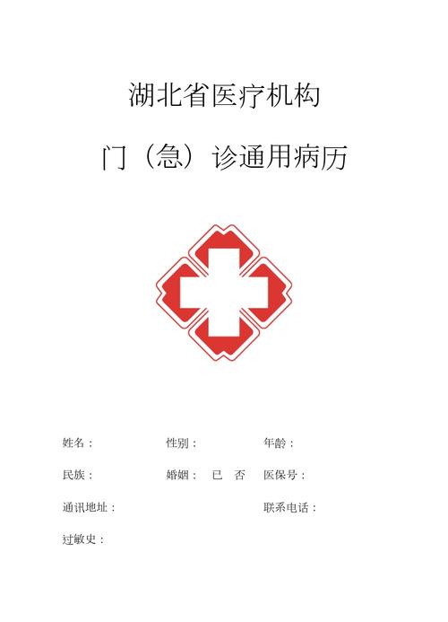 病历电子版