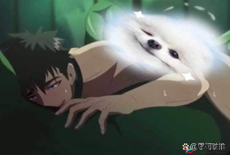 哥布林洞窟nasa双男主动漫