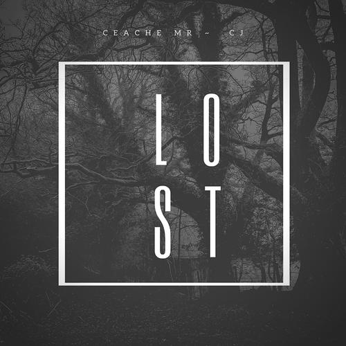 lost中文版