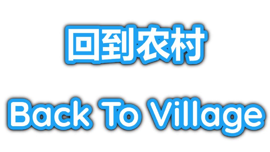 返回农村游戏