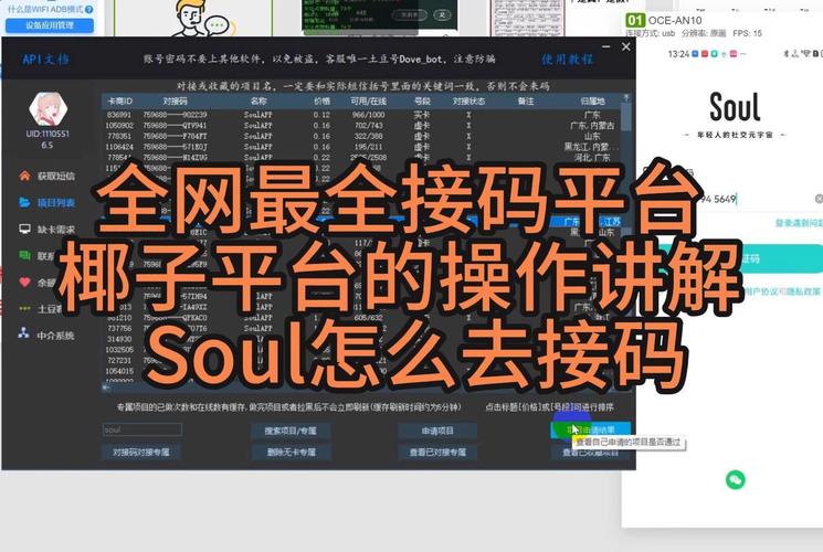 椰子助手接码验证平台使用方法