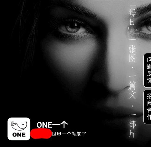 one一个就够了致敬韩寒