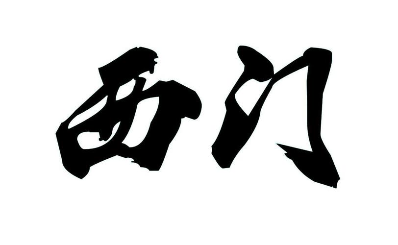 西门视频