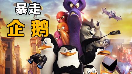 暴走企鹅免费观看完整版无限时间版