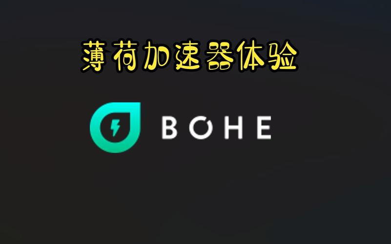 薄荷加速器加速失败怎么回事绿色版汉化版