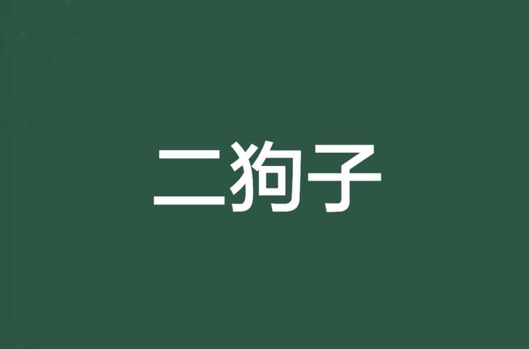 二狗小说