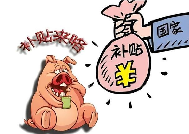 母猪饲养计划漫画完整版