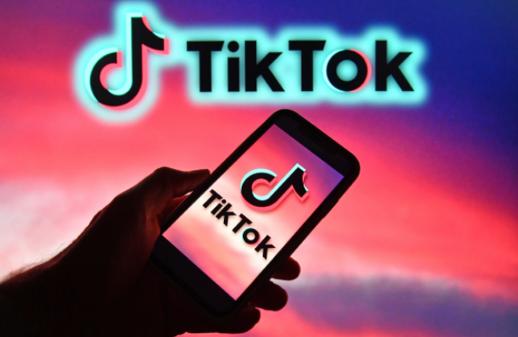 海外抖音tiktok安卓版破解版粉色版本