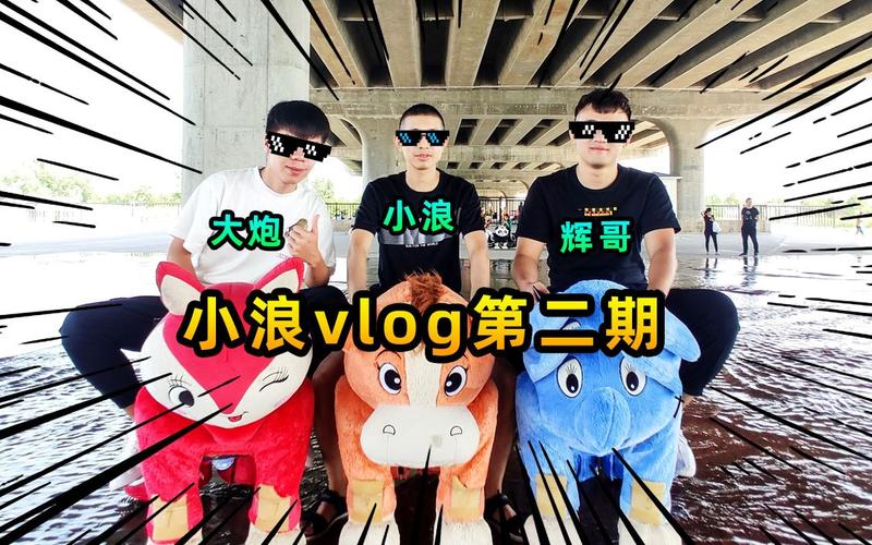 小浪vlog去广告