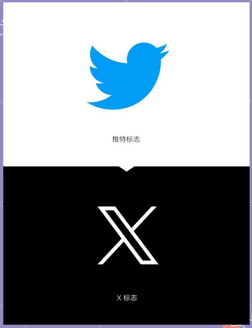 推特破解免费版