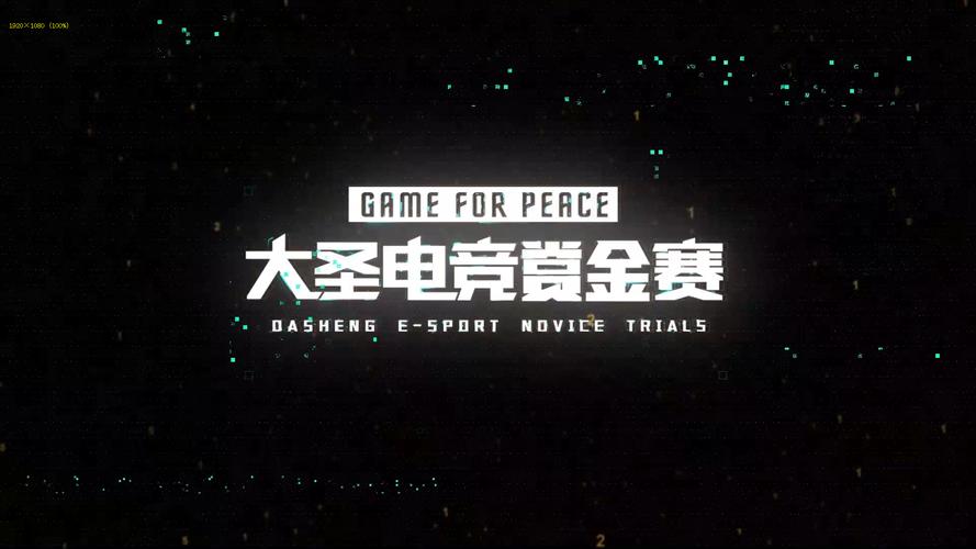 和平精英赏金赛官方正版