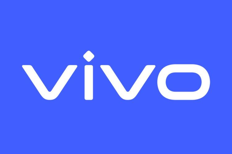 vulkan版本官方vivo无限次数版