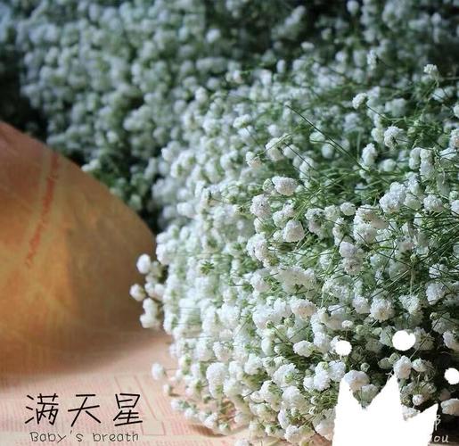 漫天星官方正版白色版无删减