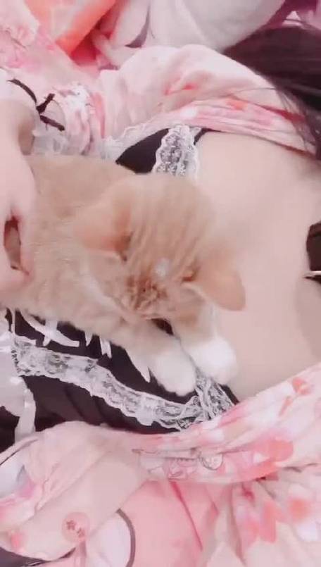 pr九尾狐正能量视频解锁版粉色版本