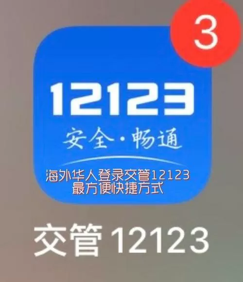 12123登录密码一般是什么