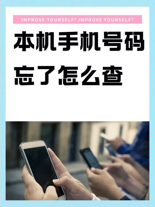 忘了本机号码怎么查