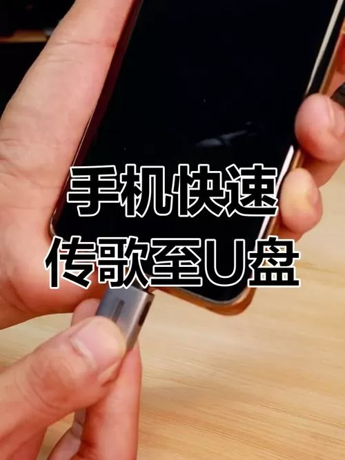 手机下载到u盘怎么下载截图
